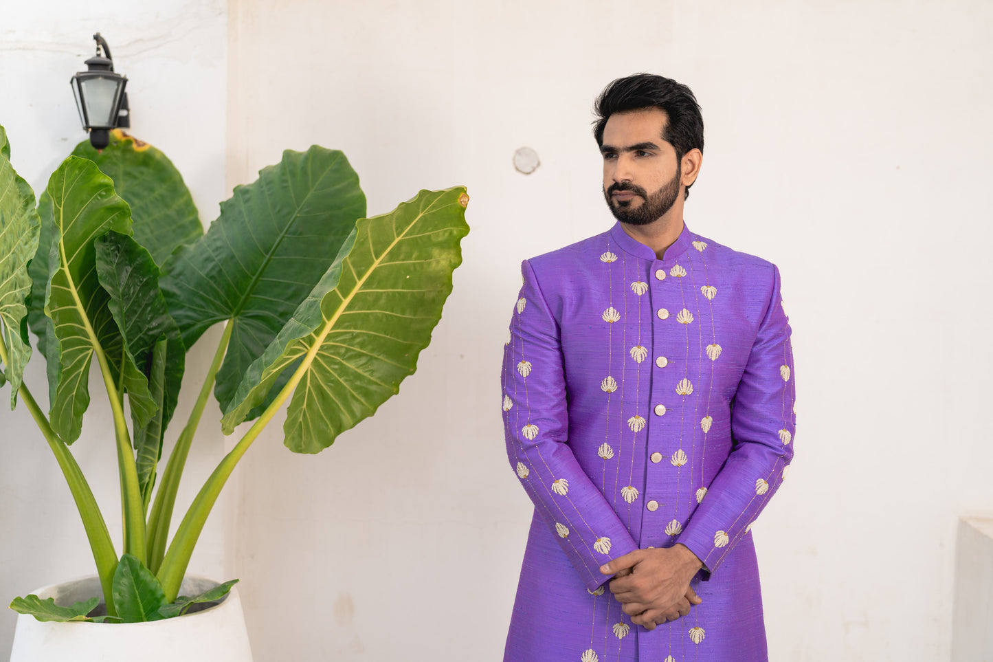 LAVENDER SHELL SHERWANI