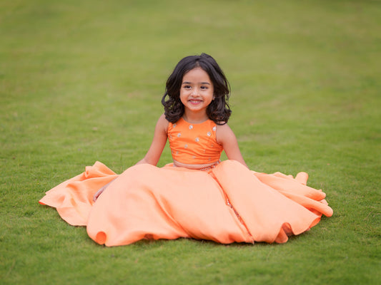 Jhilmil tissue lehenga