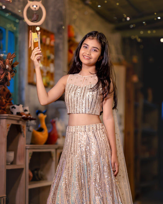 A SILVER AND GOLD SHIMMER LEHENGA