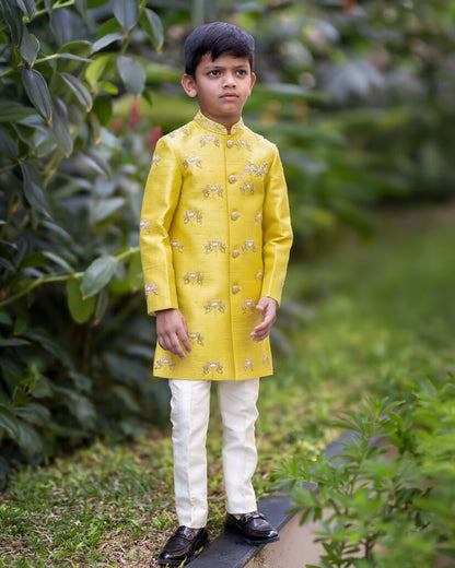PANKHI