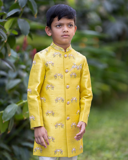PANKHI