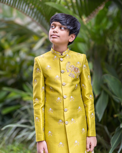 GAJENDRA