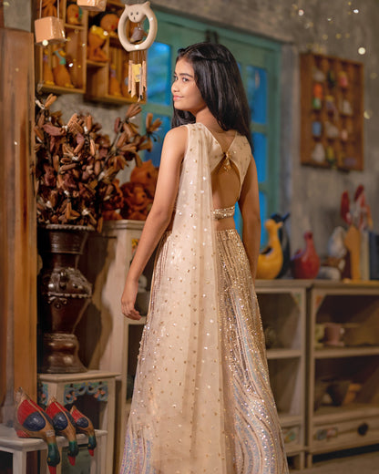 A SILVER AND GOLD SHIMMER LEHENGA