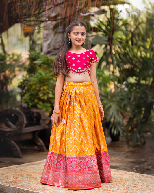 MANGO YELLOW AND MAJNETA BANARASI